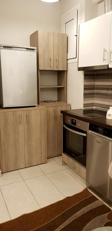 Xenia_Apartments A2 โคซานี ภายนอก รูปภาพ